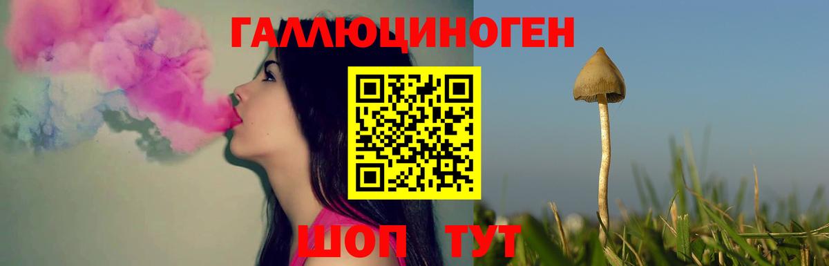 Псилоцибиновые грибы Magic Shrooms  Псилоцибиновые грибы Magic Shrooms  Солнечногорск  Вход с VPN 